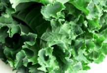 Getting Healthy with Kale