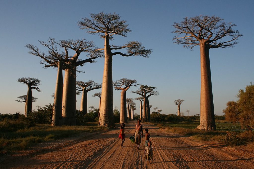 Madagascar - Unique Vacation Ideas Around the World Vacation Ideas  