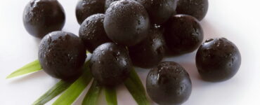 Acai Berry the Ultimate Super Food