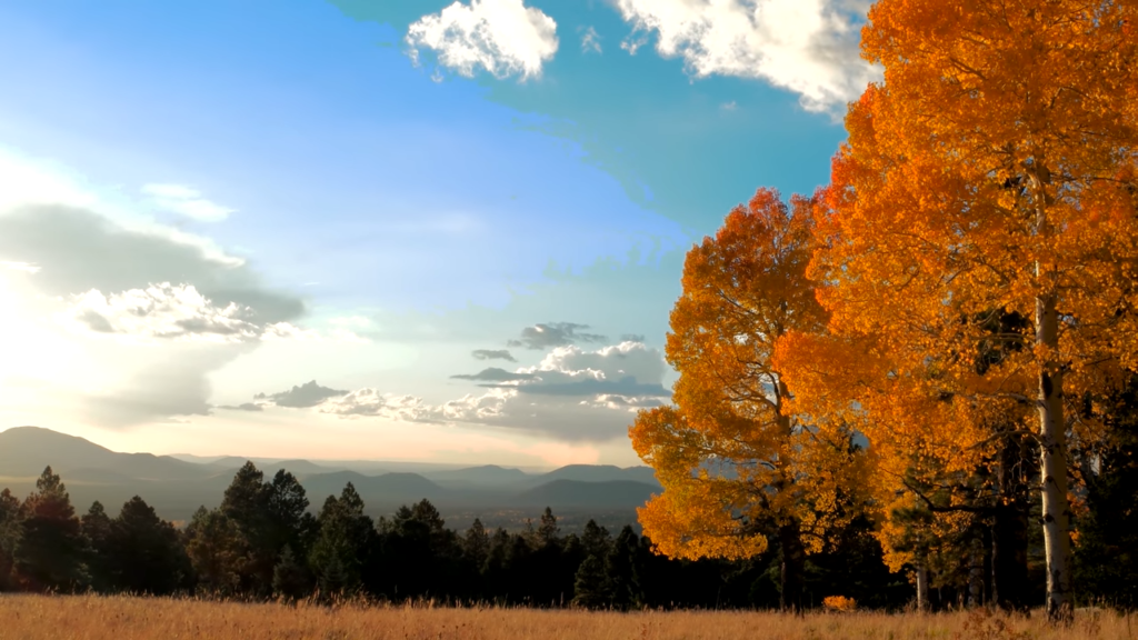 Flagstaff, Arizona - 10 Of the Best Fall Travel Spots in The U.S.