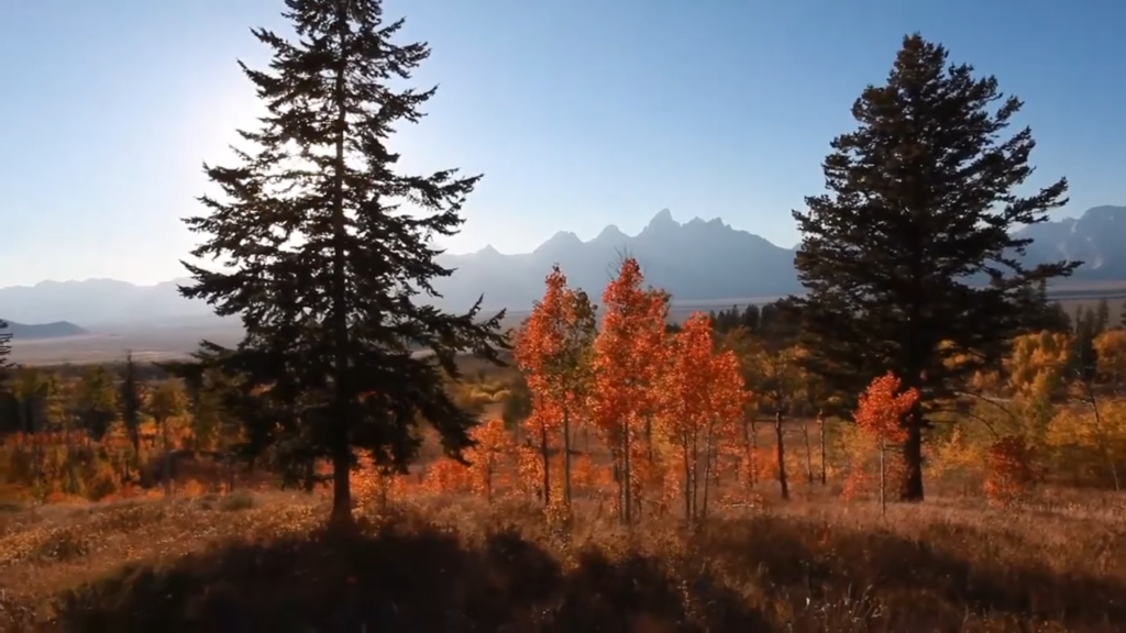 Jackson Hole, Wyoming