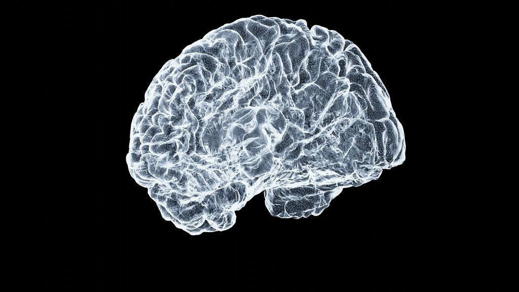 Coffee vs Tea: Liver and Brain