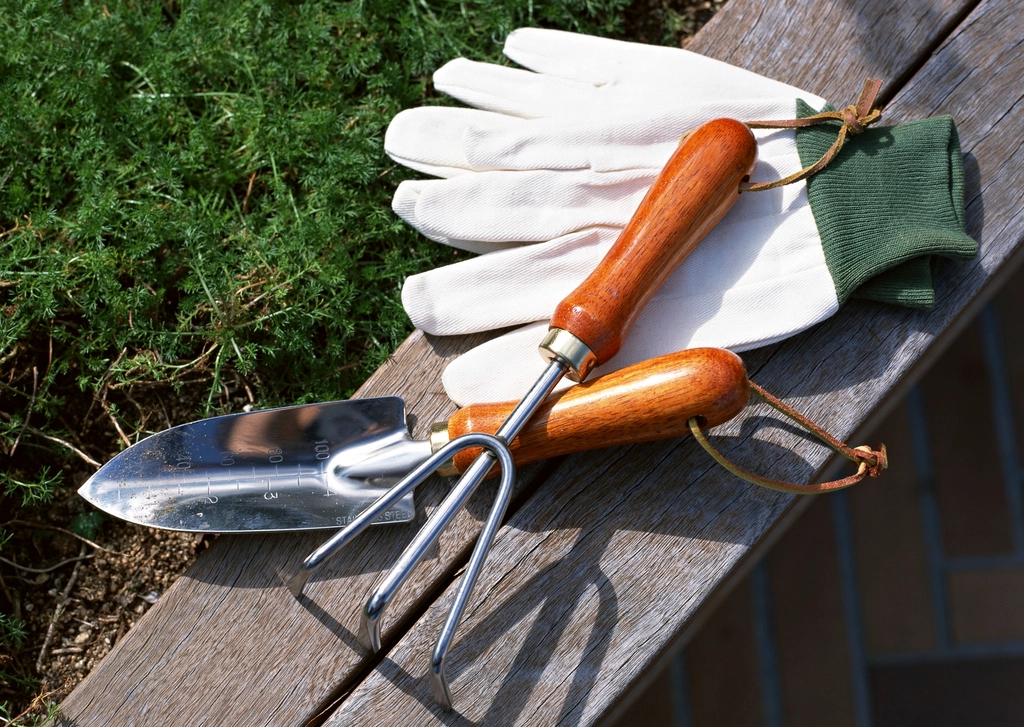 Trowel, hand fork and gloves lying on a wooden bench
