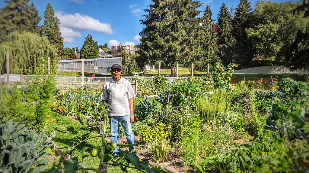 Vegetable garden plots in a community garden